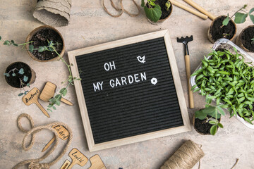 Letter board with text Oh my Garden. place. Planting seeds in Biodegradable paper eco-friendly seed...