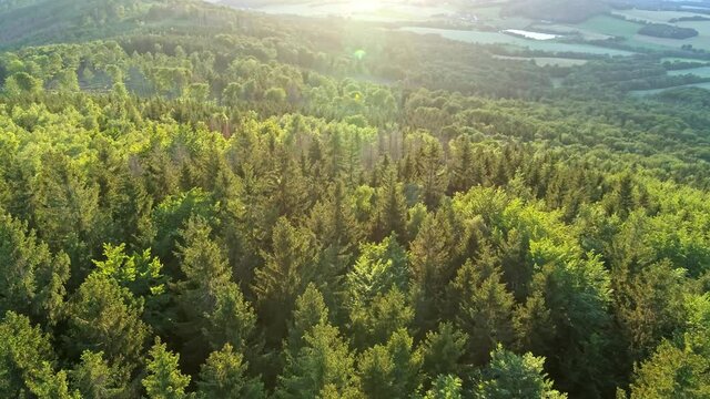 panoramic drone flight over forest in Oberlausitz, Germany