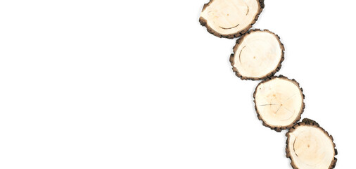 Wooden cuts. Cross section of a wooden block. Growth rings. Slabs. On a white background