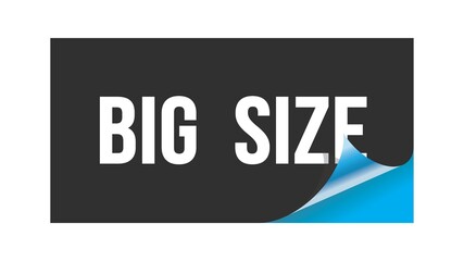 BIG  SIZE text written on black blue sticker.