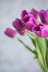 A bouquet of lilac tulips in a vase . A greeting card. Delicate flowers. Valentine's day. March 8. Mother's Day. Copy space
