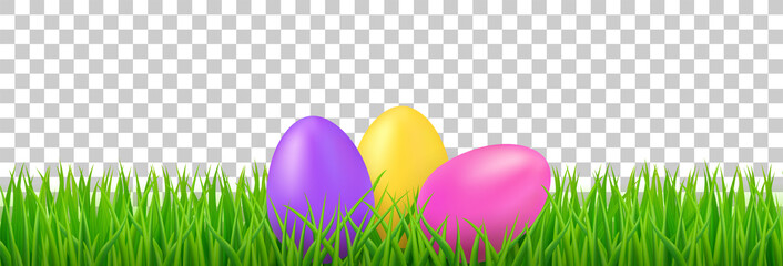 Easter eggs in green grass