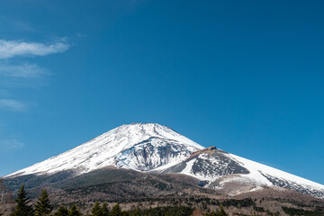 裾野からの富士山