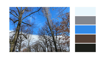 Color scheme Inspired by nature. Colour palettes