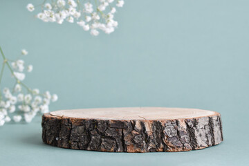 A minimalistic scene of a felled tree lies with flowers on a natural background. Catwalk for the...