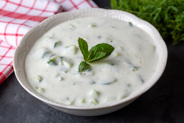 Traditional delicious appetizer; tzatziki (Turkish name; cacik)