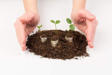 Сoins  in the soil with a young plant. The concept of money growth.