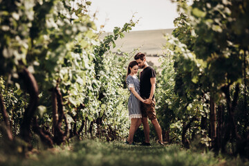 Young amorous couple holding hands in middle of vineyards on sunny day.Both man and woman stand in...