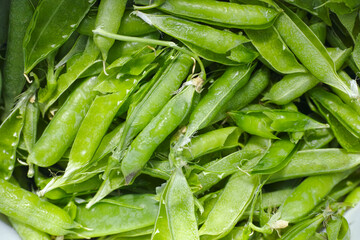 Empty open green pea pods background.