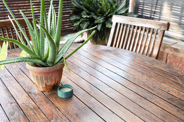 Scented natural citronella lemongrass extract mosquito insect repellent for safe and chemical free protection