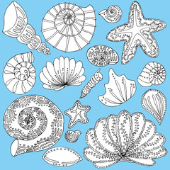 vector set seashells and stars