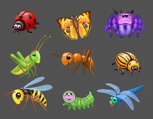 Fotobehang Cartoon grappige insecten. rups en vlinder, schattig lieveheersbeestje, groene sprinkhaan, kinderinsecten, babyinsect © lightgirl