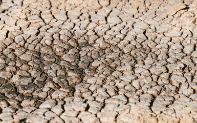 Global warming. A dry land with the last drips of water on the edge of it. Really hot temperature. Danger for agriculture.