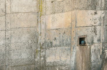 A pigeon builds its nest on a small place from a dam wall