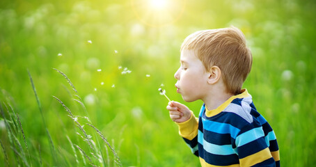 Happy boy blowing on the white dandelion's blowball