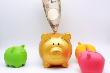 豚の貯金箱に刺した一万円札