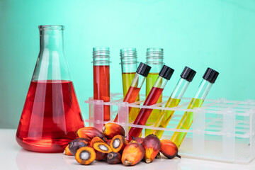 Red color unrefined palm oil and fruits with beaker test tube in laboratory