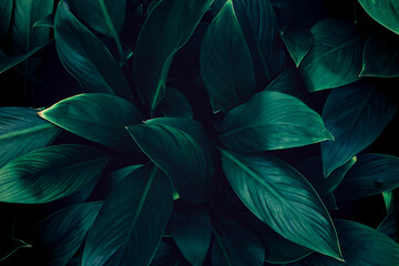 Abstract green leaves texture, nature background, tropical leaves