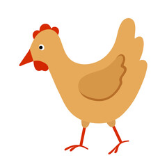 Vector color illustration of a hen. Flat style. 