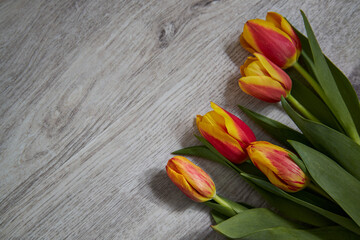 Frame of tulips on dark rustic wooden background. Spring flowers. Spring background. Valentine s Day and Mother s Day and Easter background. Top view.