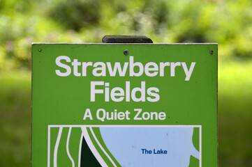 Strawberry Fields - obrazy, fototapety, plakaty