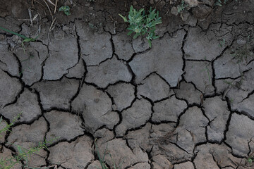 cracked soil texture background