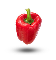 Red bell pepper with water drops isolated on white background