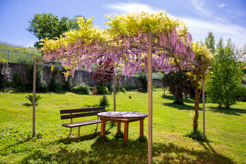 Beautiful gazebo covered with flowers with wooden furniture , shady place to relax in summer garden