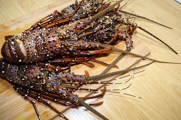 Lobster on the table