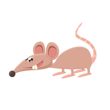 Vector cartoon funny mouse animal isolated on white background. Little cute smiling mice character