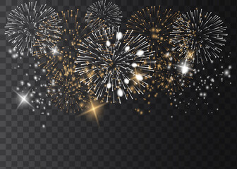 Vector Brightly Colorful Fireworks on the background of the night sky.