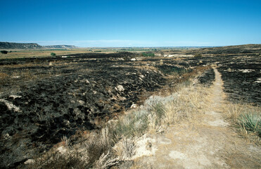 Oregon trails at Scotts Bluff National Monument, Nebraska