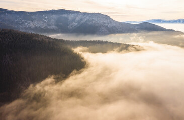 Landscape scenery in morning mist illuminated by sunlight. Forest hills in sunny haze in sunrise with copy space. Mountains in orange fog form top view.