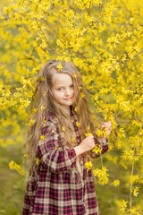 Naklejka na ściany i meble girl in yellow flowers. A child on the background of forsythia. Spring portrait of a child with flowers in her hair