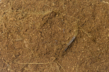 Close up view of soil ground texture