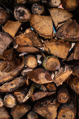 Timbers, woodpiles, fell of timbers 