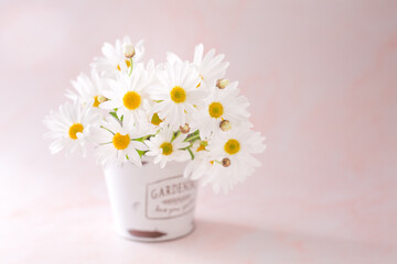 Bouquet of blooming Margaret flower in a white bucket