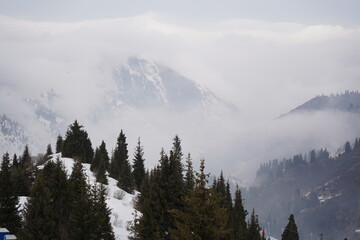 Snow-covered hills with fir trees and fog in a mountainous area near the city.