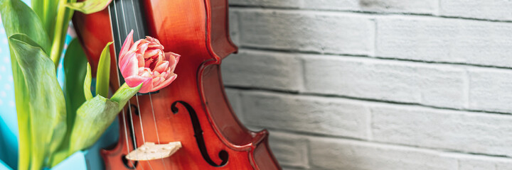 Website banner with close up acoustic volin and pink tulip flowers