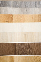 Color wood samples.
Сatalog of wood materials for design on a light background. Collection of surface boards.
  Wood color and texture samples.