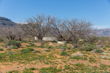 water tank in desert