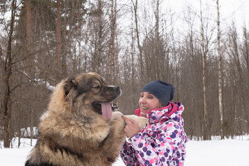 A Happy woman with big fluffy Caucasian guard dog in nature