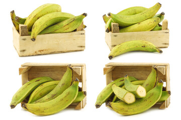 unripe baking bananas (plantain bananas) and a cut one  in a wooden crate on a white background © tpzijl