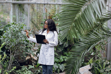 Focused young afro american lady agronomist in white coat supervising plant's growth and condition in greenhouse, making notes. Plant care and protection concept.