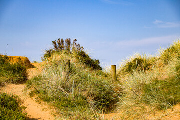 dünenlandschaft