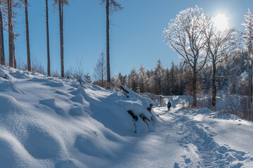 Ilsenburg(Harz) Winter am Kammerberg