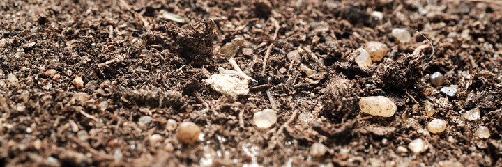 soil for cactus close-up, shallow depth of field, macro photography, banner concept