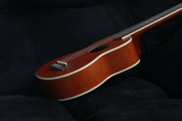 Obraz premium Ukulele 