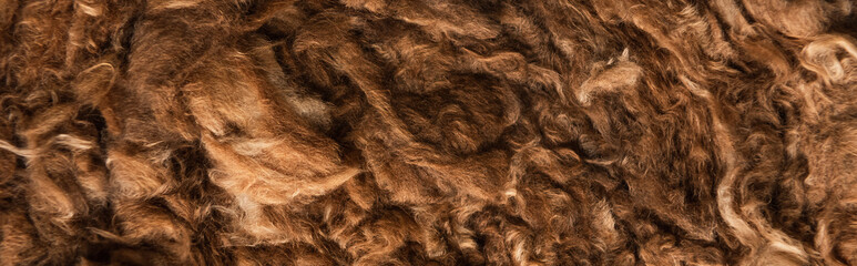 background of brown, fluffy artificial carpet, top view, banner