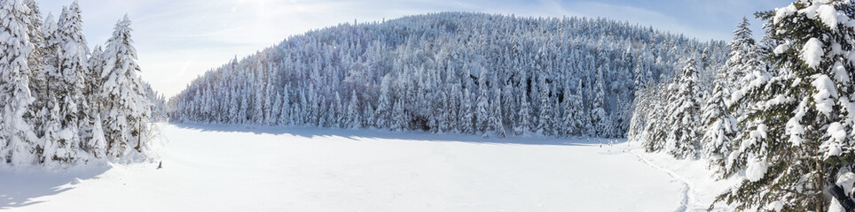 Panorama on a snowy lake